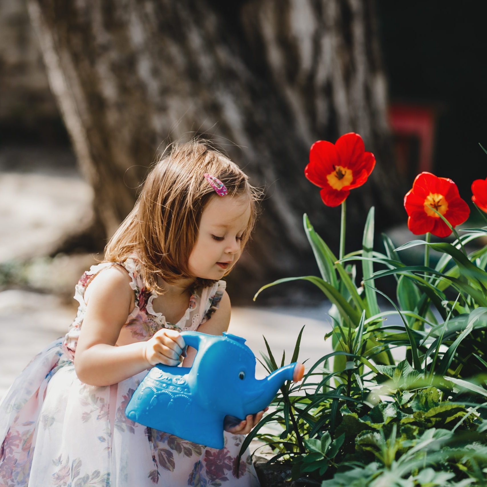 Charming little girl takes care about flowers in the garden